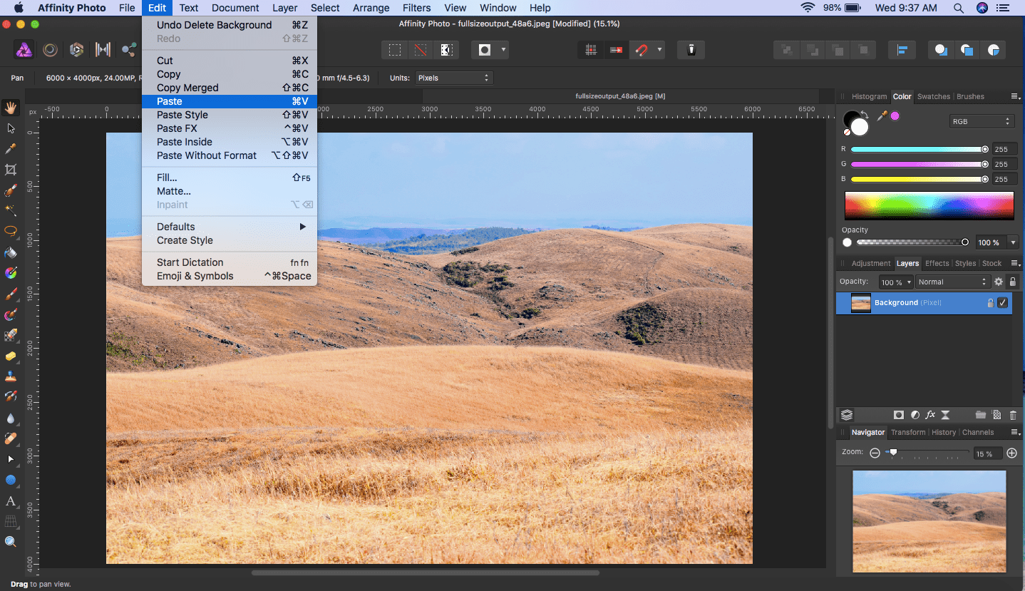 affinity photo selection paste