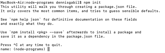 node.js npm init